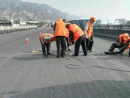 蒙自道路桥梁病害治理